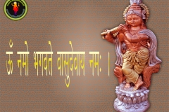 lord-krishna-wallpaper-1024x768-theshiva.net
