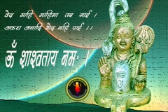 lord-shiva-wallpaper-1024x768-theshiva.net (13)